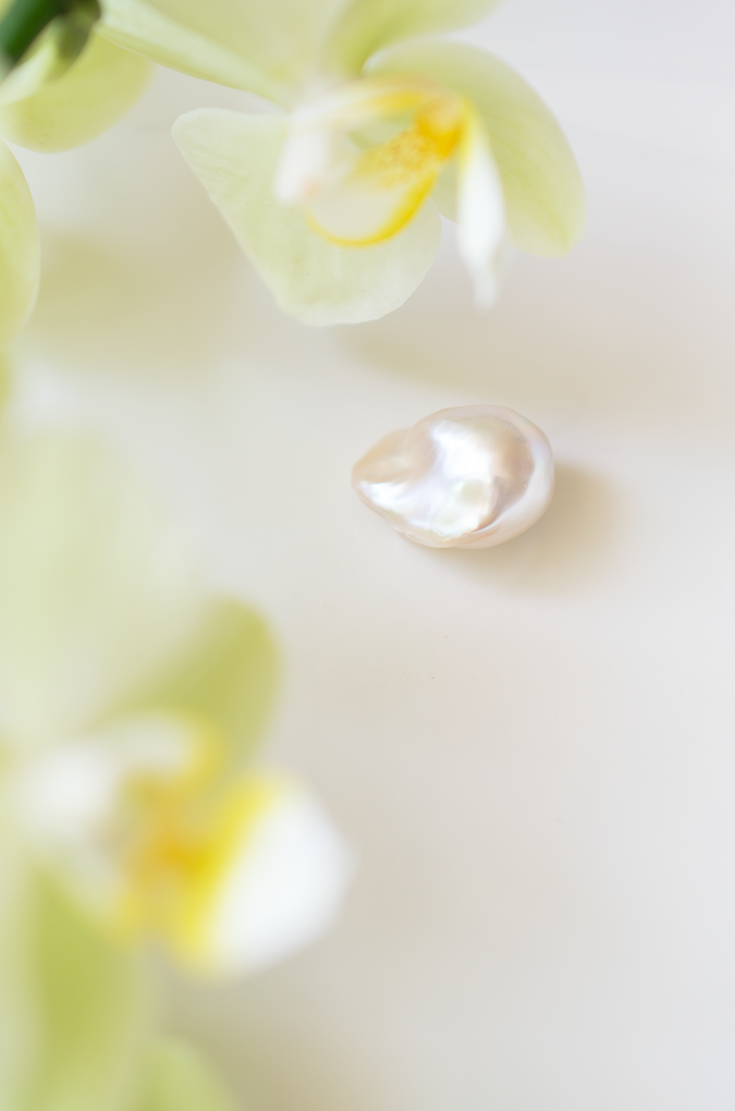 Baroque freshwater pearl resting on white surface beneath a blooming white orchid