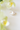 Baroque freshwater pearl resting on white surface beneath a blooming white orchid